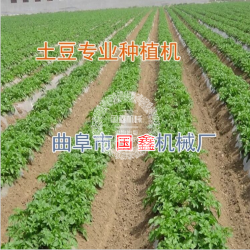 国鑫gx-fmj-1200 播种 新型多功能覆膜播种机 大棚种植蔬菜