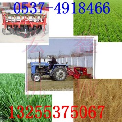 大型六行播种机 农机小麦播种机 汽油施肥播种机