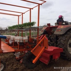 青州市军岩农业机械2ZBX-4A 西红柿、甘蓝移栽机栽苗机、旋耕移栽一体机