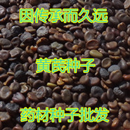 【龙飞种业】 药材种子/中药材种子/种子种苗/中药材除草剂/ 花卉种子/中药材播种机/松土机/除草机/药材除草剂