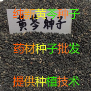 【龙飞种业】 药材种子/中药材种子/种子种苗/中药材除草剂/ 花卉种子/中药材播种机/松土机/除草机/药材除草剂