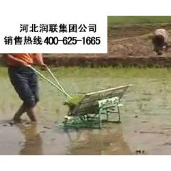 安徽芜湖手摇式插秧机和四行插秧机技术参数