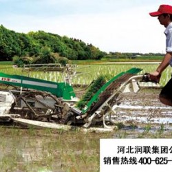 西藏拖拉机插秧机和大型水稻插秧机报价多少钱