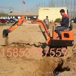 贵阳小型挖掘机厂家 18型履带式挖掘机工作视频  葡萄园埋藤小挖掘机
