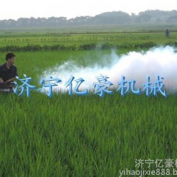 直销粮食筛选机厂家  新款式粮食清选机报价 筛选机型号参数