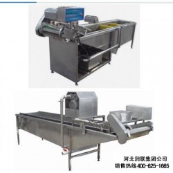天津蔬菜自动清洗机和多功能蔬菜清洗机四川有厂家吗