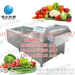洗菜机优质现代高科技洗菜机 果蔬清洗机 蔬菜水果自动杀菌消毒清洗机