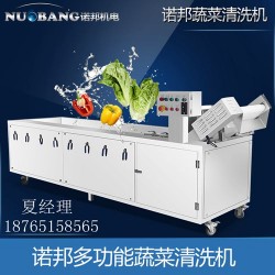 迈康生产小型蔬菜清洗机 304不锈钢水果清洗机 气泡果蔬清洗机