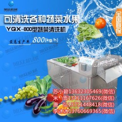 广州气泡清洗机 蔬菜清洗机 蘑菇清洗机 洗蔬菜的设备 洗菜机