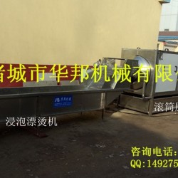 供应新型HTRTP-4000核桃仁脱皮清洗机 /核桃仁去皮机