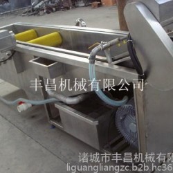 丰昌DKT-2000 茶叶清洗机，根薯类清洗去皮机