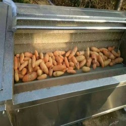 佳美1.5米 土豆去皮清洗机厂家生产 红薯去皮清洗机山东供应 9辊 毛辊清洗机