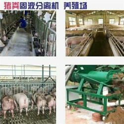 广东清远分离机昆明牛粪压榨机 牛奶厂牛粪脱水机厂家