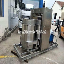 瑞宝YZ-100 酵素压榨机 双桶压榨机 倾斜式压榨机 果酒压榨机