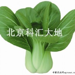 供应纳禾牌蔬菜小油菜