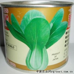 供应靓冠青梗菜—油菜种子