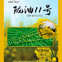 供应陇油11号—油菜种子