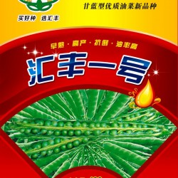 供应汇丰一号—油菜种子