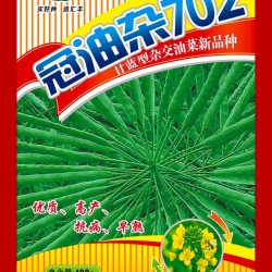 供应冠油杂702—油菜种子