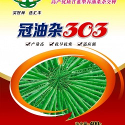 供应冠油杂303—油菜种子