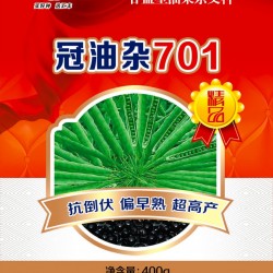 供应冠油杂701—油菜种子