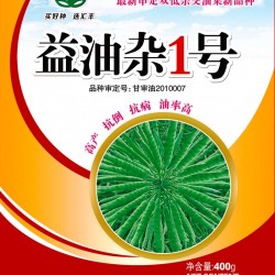 供应益油杂1号—油菜种子