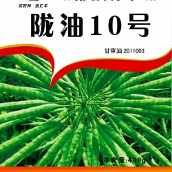 供应陇油10号—油菜种子