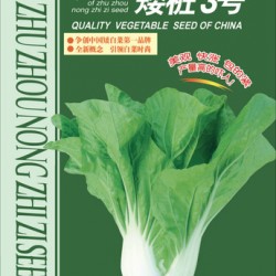 供应杂交矮桩3号—小白菜种子