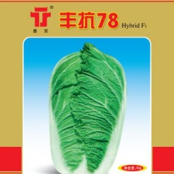 供应丰抗78—白菜种子