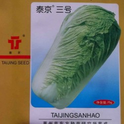 供应泰京三号—白菜种子