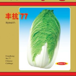 供应丰抗77—白菜种子