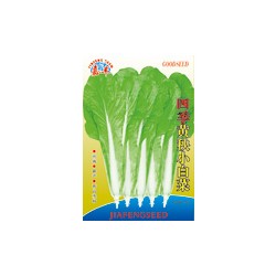 供应四季黄秧小白菜—白菜种子