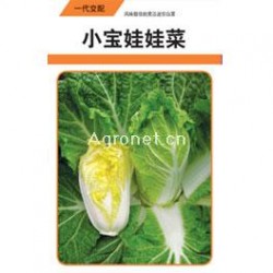 供应小宝娃娃菜——白菜种子