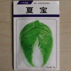 供应夏宝—白菜种子