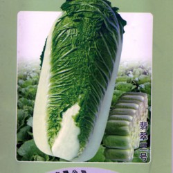 供应翡翠三号—白菜种子