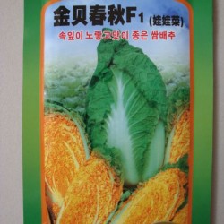 供应韩国进口金贝春秋红心娃娃菜—白菜种子