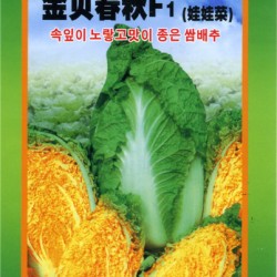供应金贝春秋－白菜种子