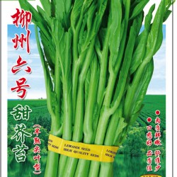 供应柳州六号甜芥苔—芥菜种子