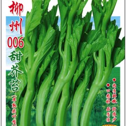 供应柳州006甜芥苔—芥菜种子