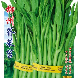 供应柳州芥菜苔—芥菜种子