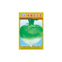 供应本地大头菜