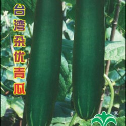 台湾杂优青瓜——黄瓜种子