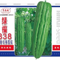 供应绿福338油身苦瓜