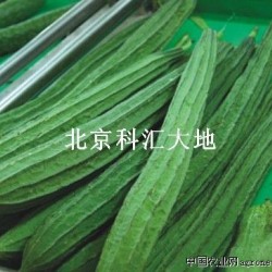 供应纳禾牌蔬菜丝瓜