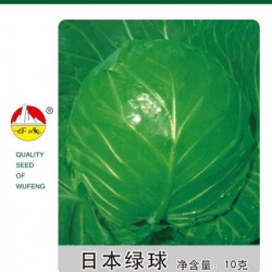 供应日本绿球——甘蓝种子