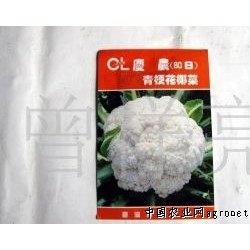 供应F1庆农80天-花椰菜种子（台湾）