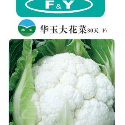 供应华玉大花菜80天F1——花椰菜种子
