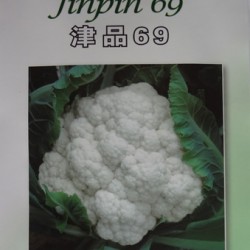 供应津品69—花椰菜种子