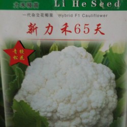 供应高抗青梗65天－花椰菜种子