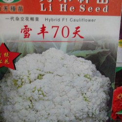 供应雪丰70天－花椰菜种子